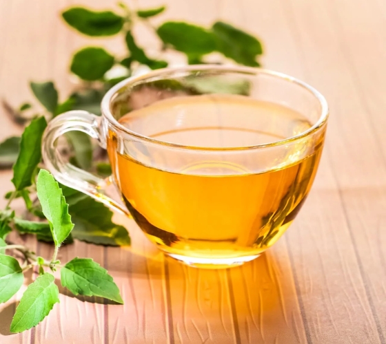 Tulsi Green Tea
